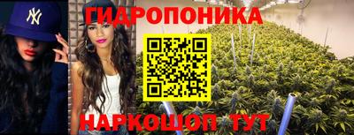 ECSTASY Жуковский