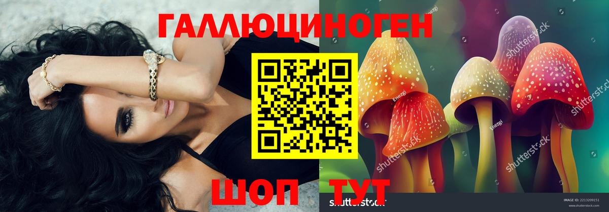 Псилоцибиновые грибы прущие грибы Кашира